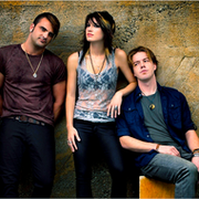 Too Many Words - Sick Puppies